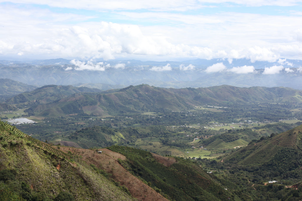 A view over Finca La Chorrera in Pitalito, Colombia