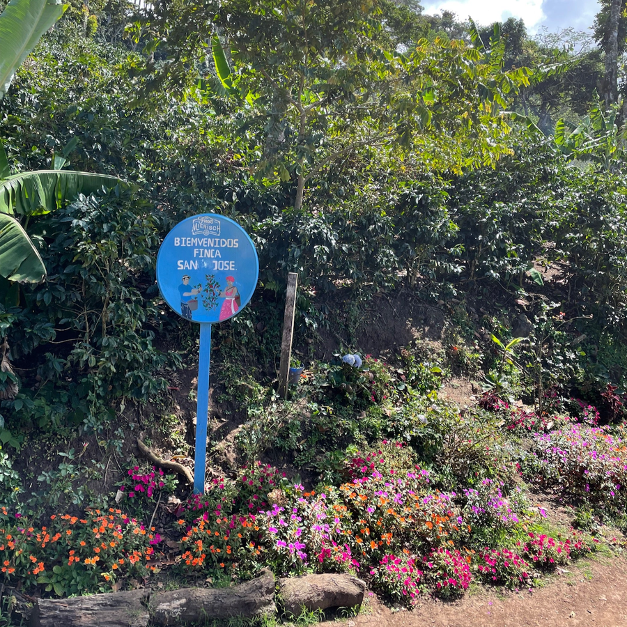 The entrance sign at Finca San Jose in Jinotega, Nicaragua