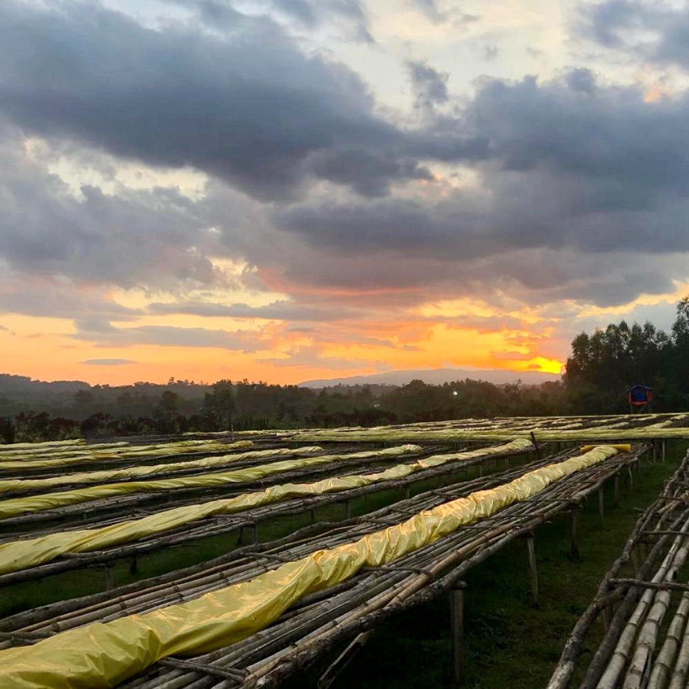 Sunset over the drying beds at Telila Yukro, Ethiopia | Hasbean.co.uk