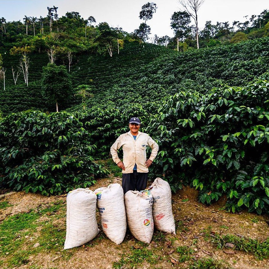 Gregorio Paye Mamani with sacks of his coffee at Volcán del Tigre